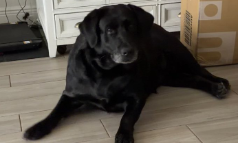 Molly